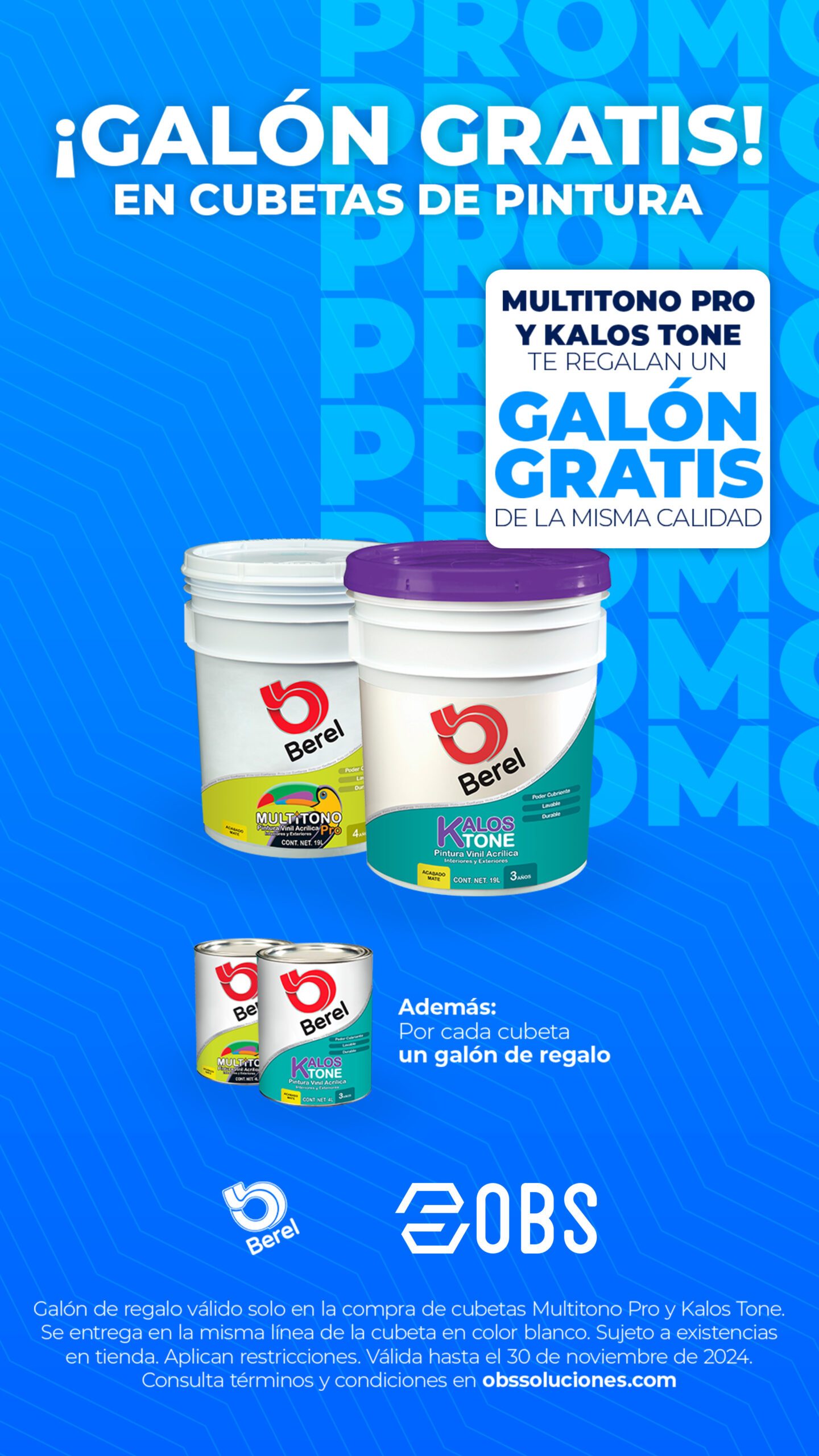 Galón Gratis Berel_Promo_Storie_Nov 24