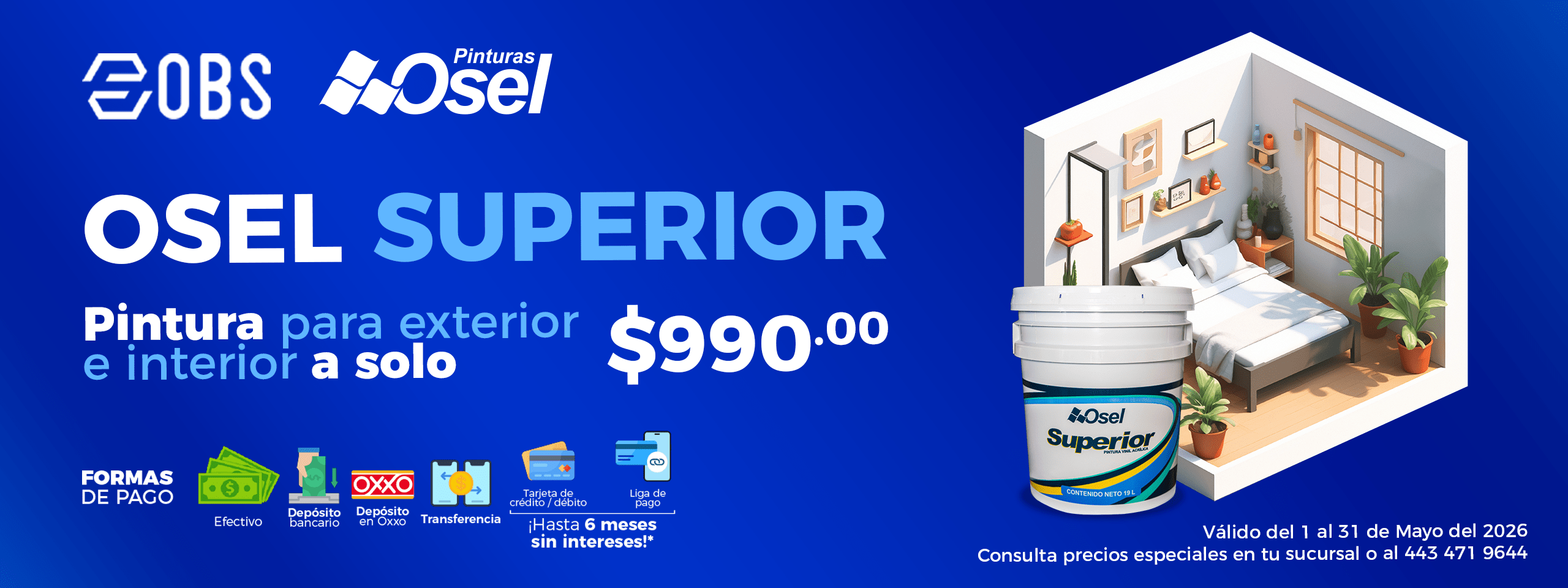 WEB PINTURA SUPERIOR