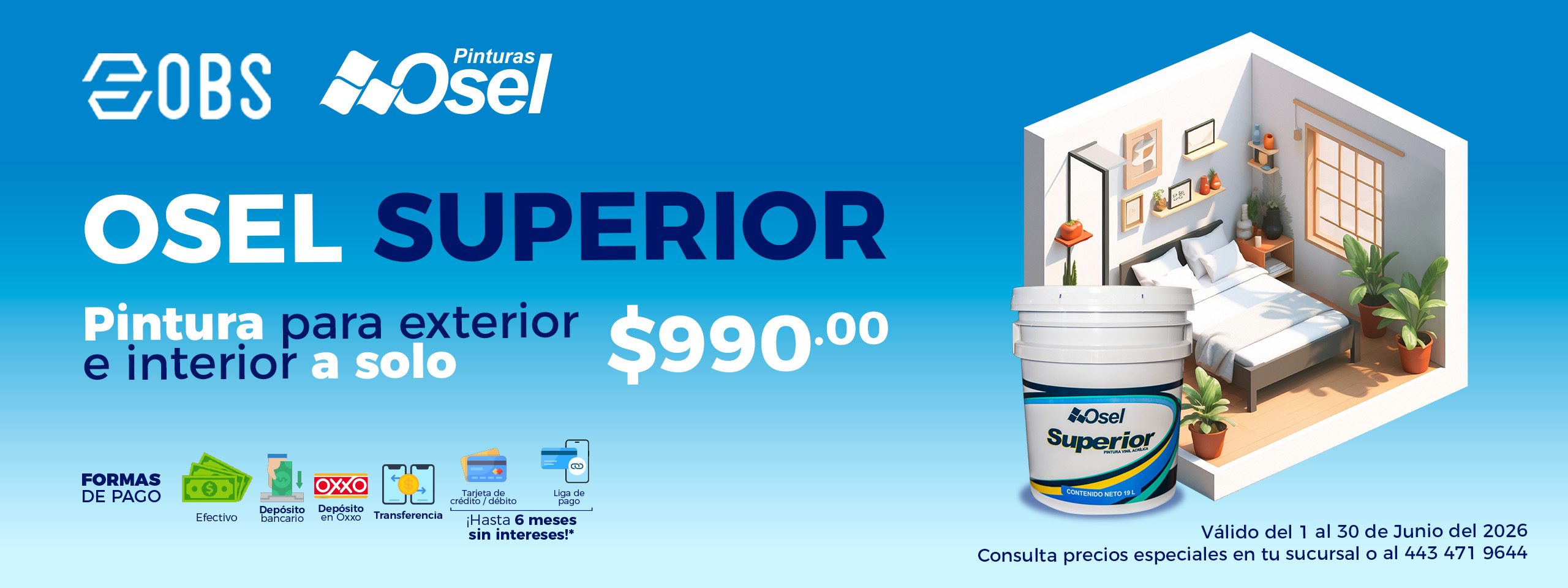 WEB PINTURA SUPERIOR